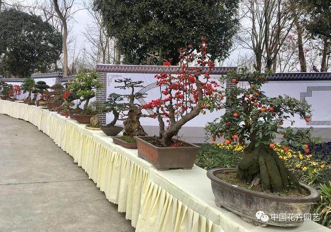 郫都花卉盆景产业发展研讨会在成都举办
