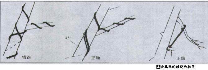 树木盆景的造型的方法 吊扎法和修剪法