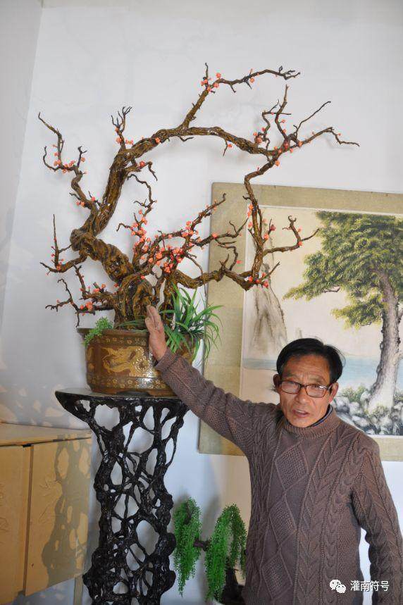 7旬老农不简单 打造花草树木个性盆景造型