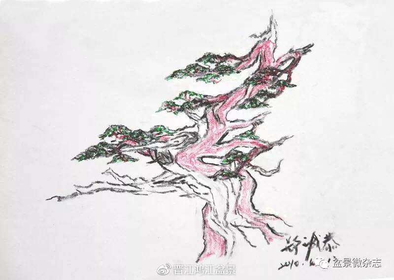 图解 如何制作设计真柏舍利干盆景