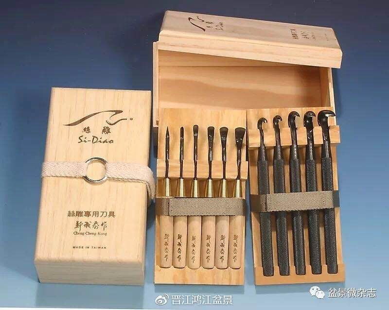图解 如何制作设计真柏舍利干盆景