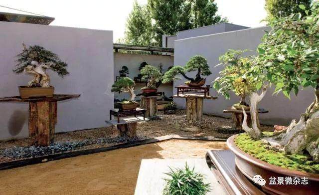 世界各地盆景博物馆的大同与小异