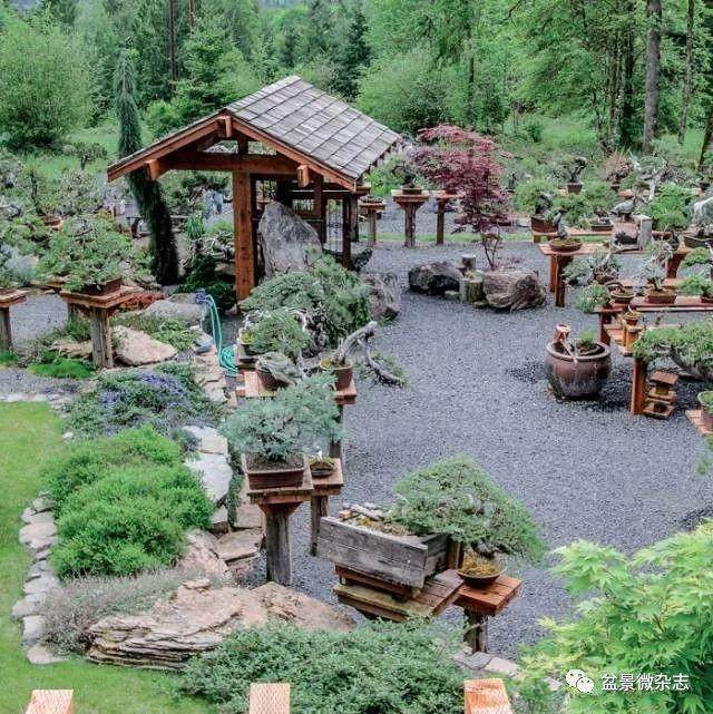 世界各地盆景博物馆的大同与小异