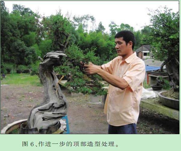 作进一步的顶部造型处理