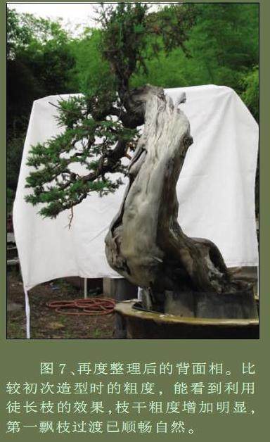 再度整理后的背面相