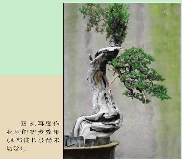 再度作业后的初步效果