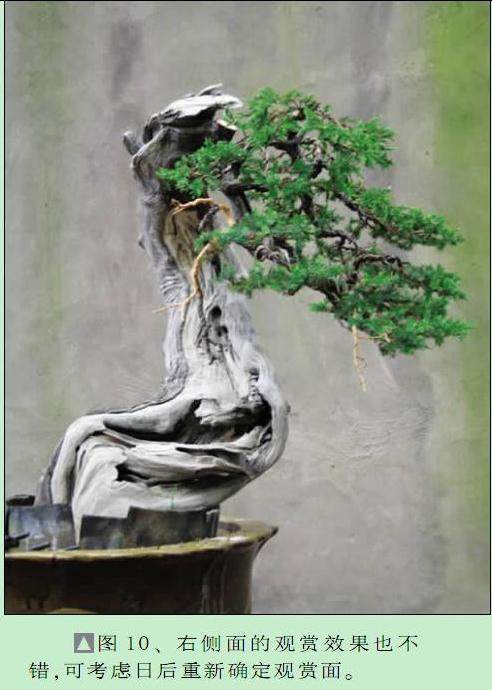 右侧面的观赏效果也不错