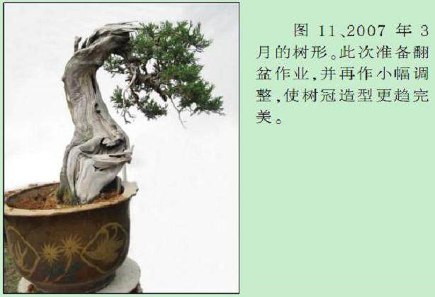 此次准备翻盆作业