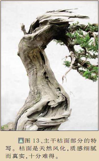 枯面是天然风化