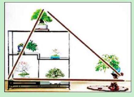 盆景展示中要体现自然平衡感觉
