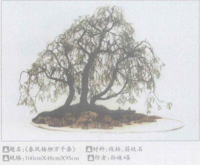 南京现有私人盆景园近30个 占地面积多则百亩