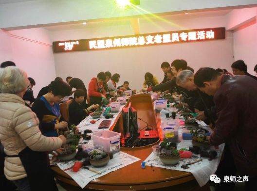 民盟泉州师院总支开展“多肉盆景制作”联谊活动