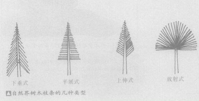 如何对树木盆景的忌枝采取好的处理方法?