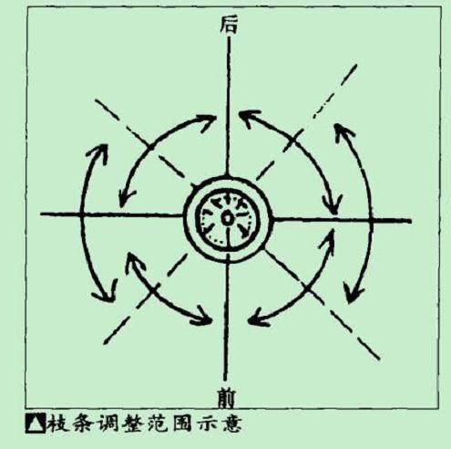 如何对树木盆景的忌枝采取好的处理方法?