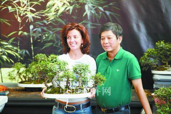 在欧洲花木市场上看到些中国出口的商品盆景