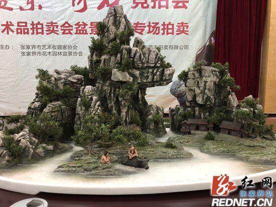 2017中国张家界首届武陵盆景·奇石竞拍会