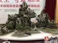 2017中国张家界首届武陵盆景·奇石竞拍会