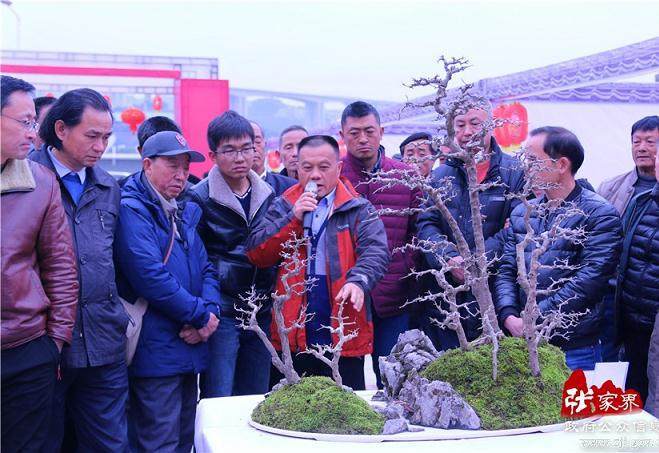 第二届武陵盆景·赏石博览会圆满落幕