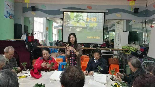 虹桥镇盆景科普制作活动