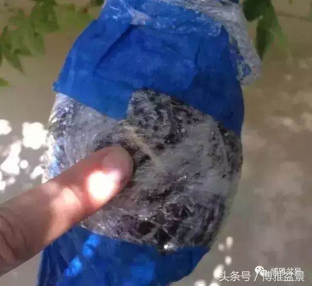 多图详解盆景高压的细节