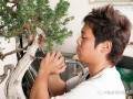 中日韩盆景文化交流活动即将在苏州开幕