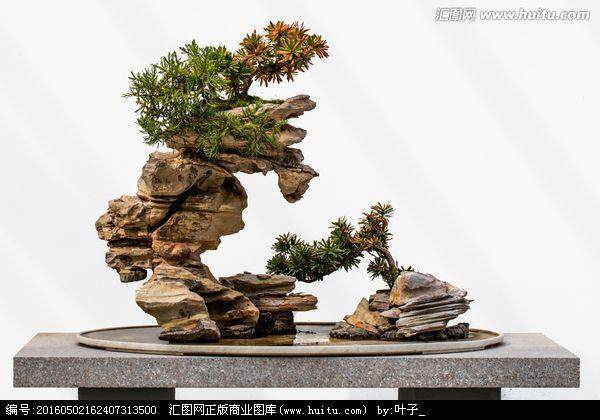 对山水盆景分类的探讨