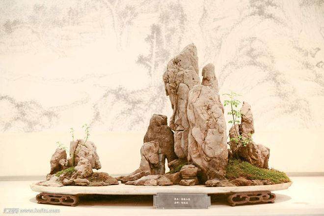 对山水盆景分类的探讨