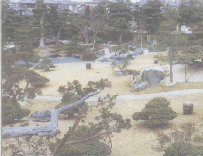 日本爱媛县新居浜市的私家盆景园