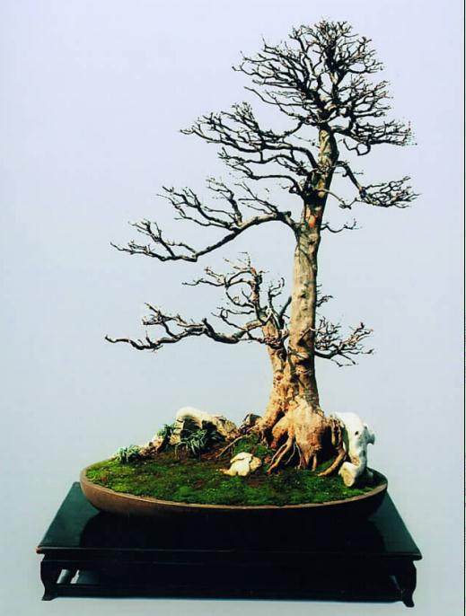 冯连生的作品深得树石盆景爱好者喜爱