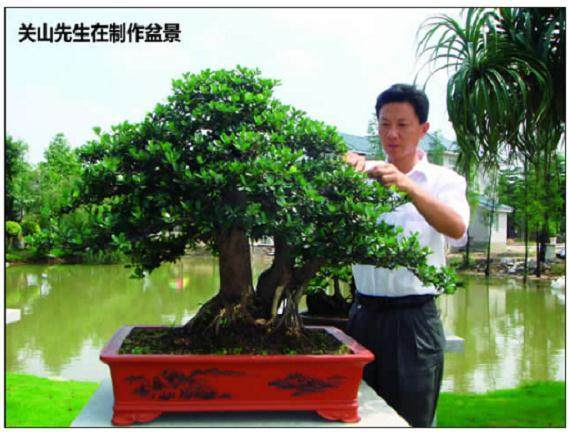 关山盆景园是一家集盆景制作、收藏为一体的私家园林