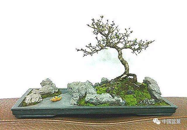 也谈水旱盆景及制作要领