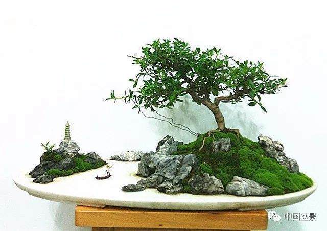 也谈水旱盆景及制作要领