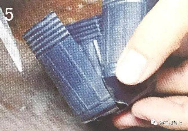 图解 教你怎么制作丛干盆景的方法