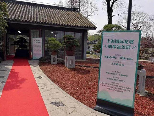 2018上海国际花展昨日揭幕 如皋盆景又抢风头!