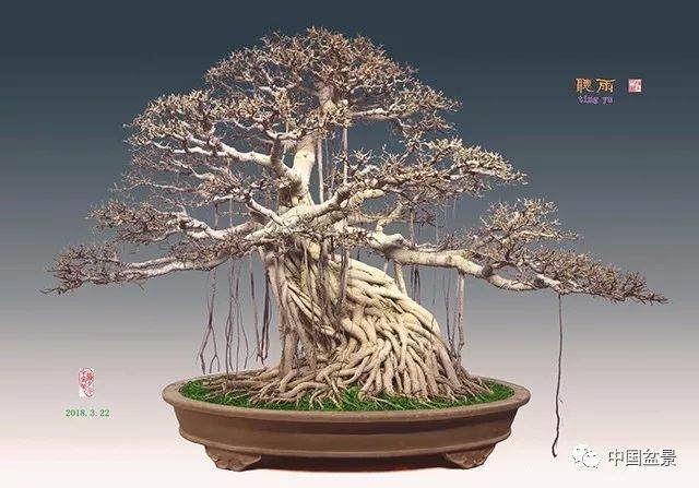 内涵和意境是盆景艺术的至高境界