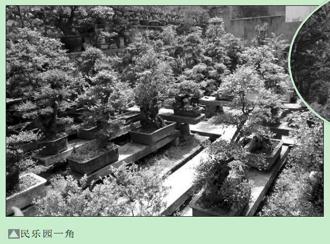 2004年投入一批资金 创建了1200平方米的民乐盆景园