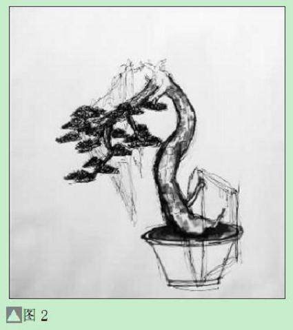 图解 黑松盆景怎么设计制作的方法