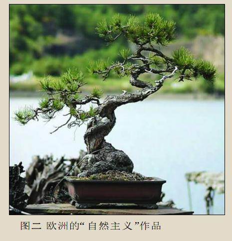 直到现代 盆景流派才被盆景艺术理论者强调出来