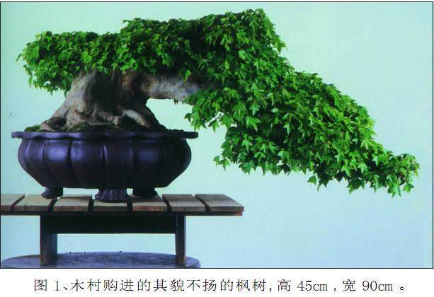 怎么才能制作出怎样一件松柏盆景呢?