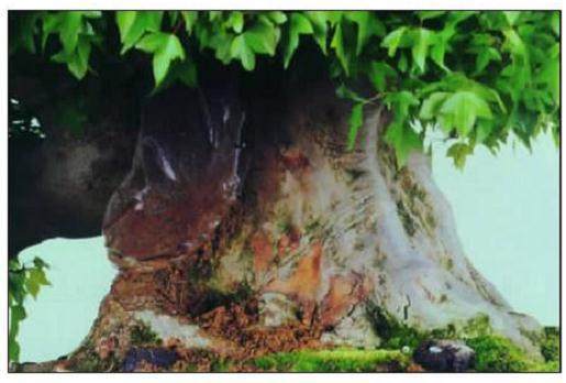 怎么才能制作出怎样一件松柏盆景呢?