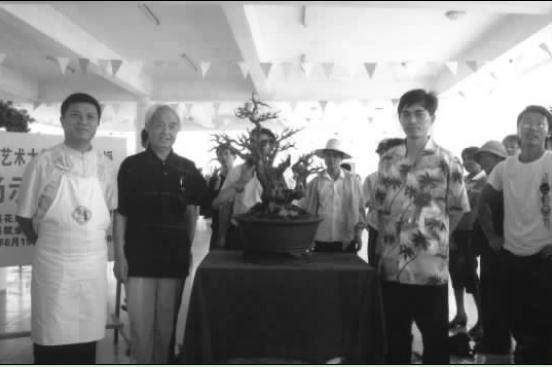 海南博兰盆景大树型制作