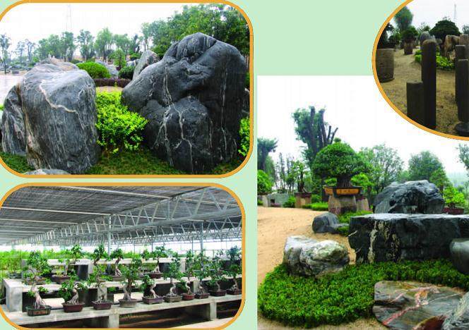 稿酬为5000元 为唐风盆景展设计会微图案 