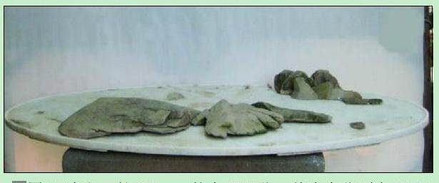 看本人尝试制作的一盆水旱盆景