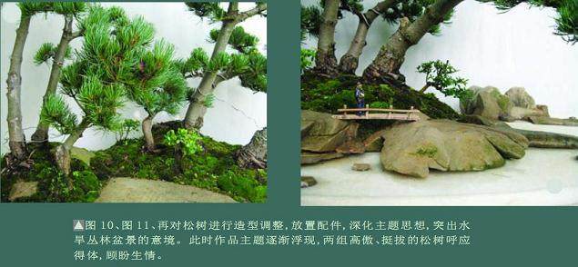 看本人尝试制作的一盆水旱盆景