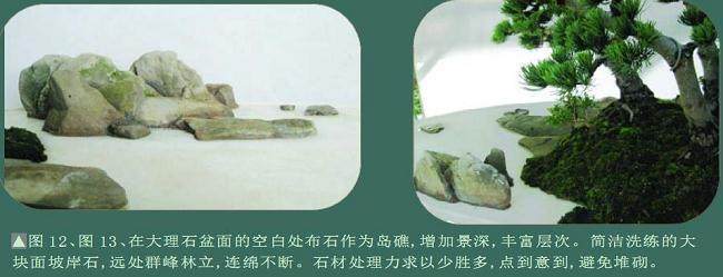 看本人尝试制作的一盆水旱盆景