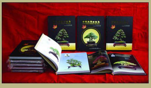 《世界盆景金奖集》已于2007年1月成功出版了