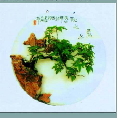 将盆景升化为世界性文化艺术