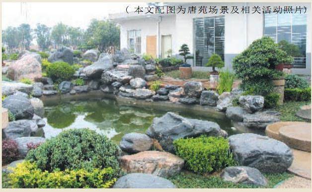 2008年5月召开的首届中国唐风盆景展