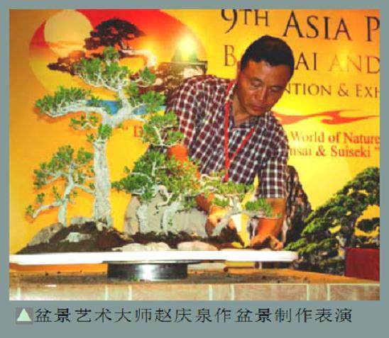 第九届盆景展览会于2007年在印度尼西亚巴厘岛举办