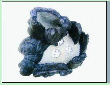 树石盆景别有洞天的制作